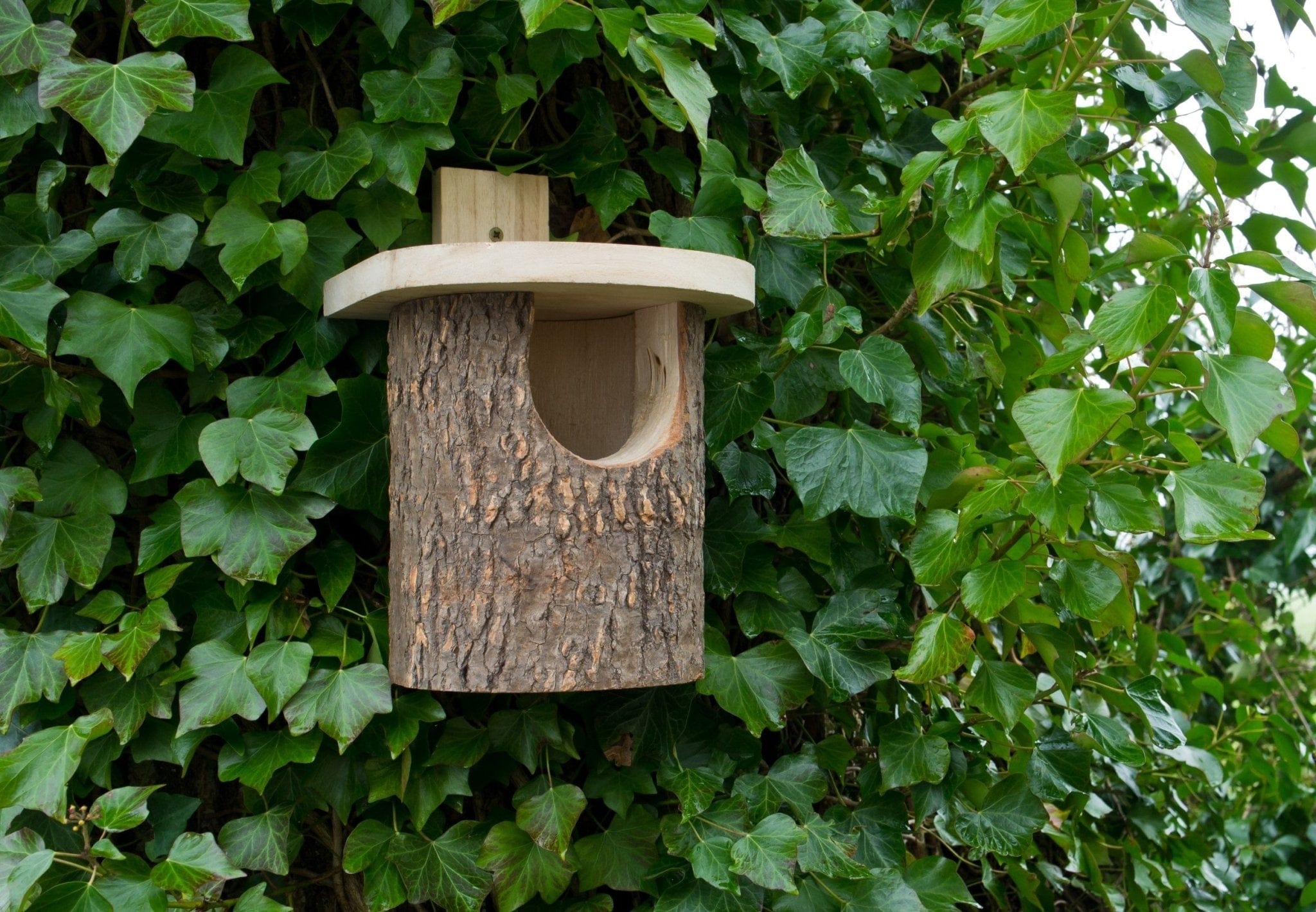 Bjælke-fuglehus - stor indgang - Blomsterverden